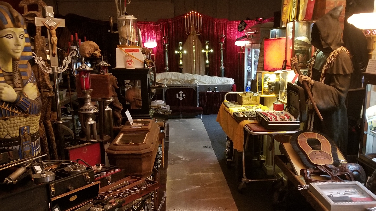 ANATOMY OF DEATH MUSEUM — photo