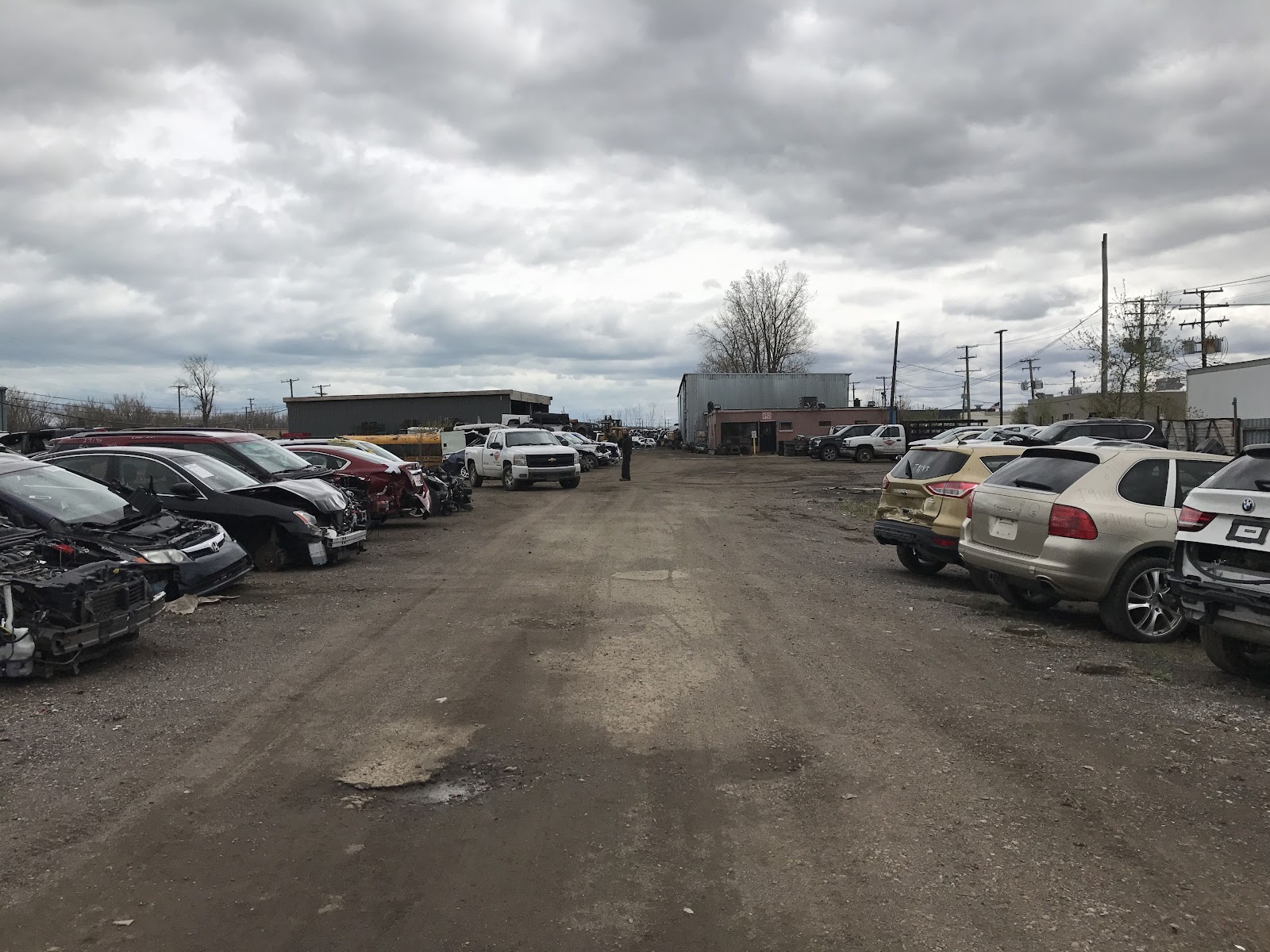 Big Mike's Used Auto Parts — photo