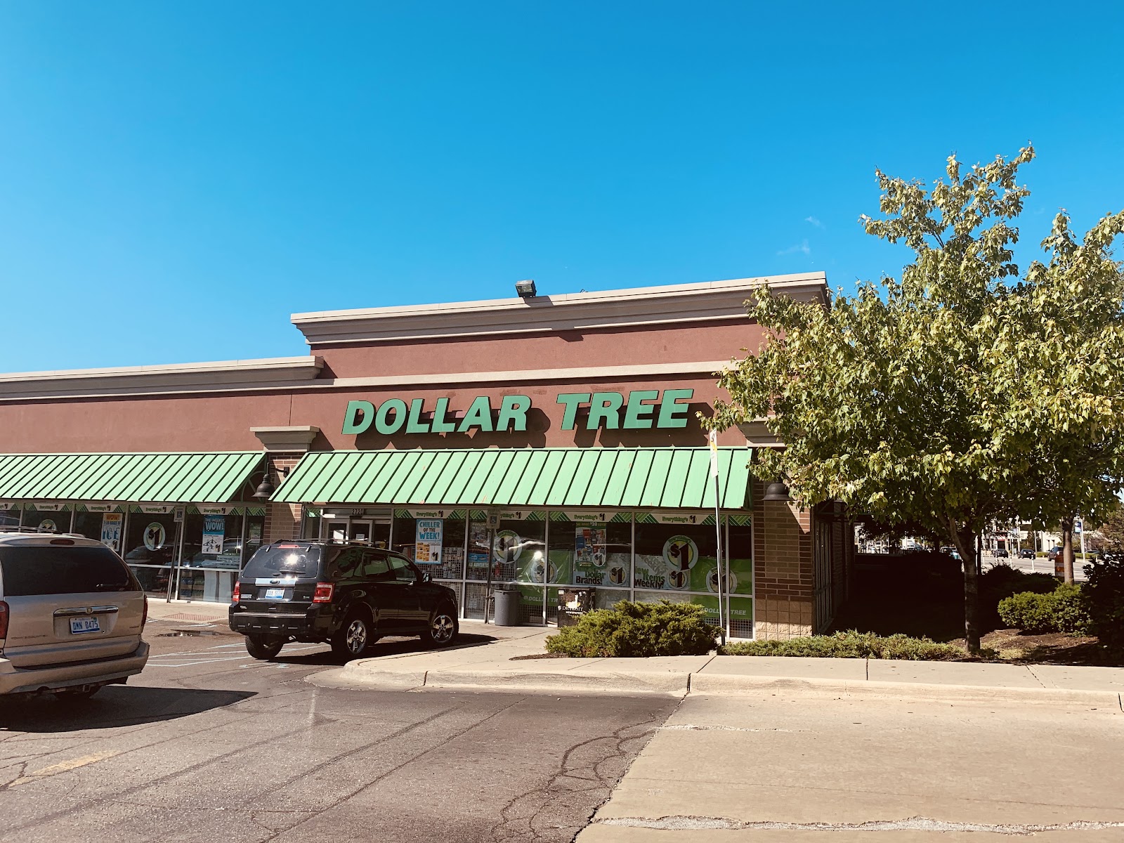Dollar Tree in Mt Clemens