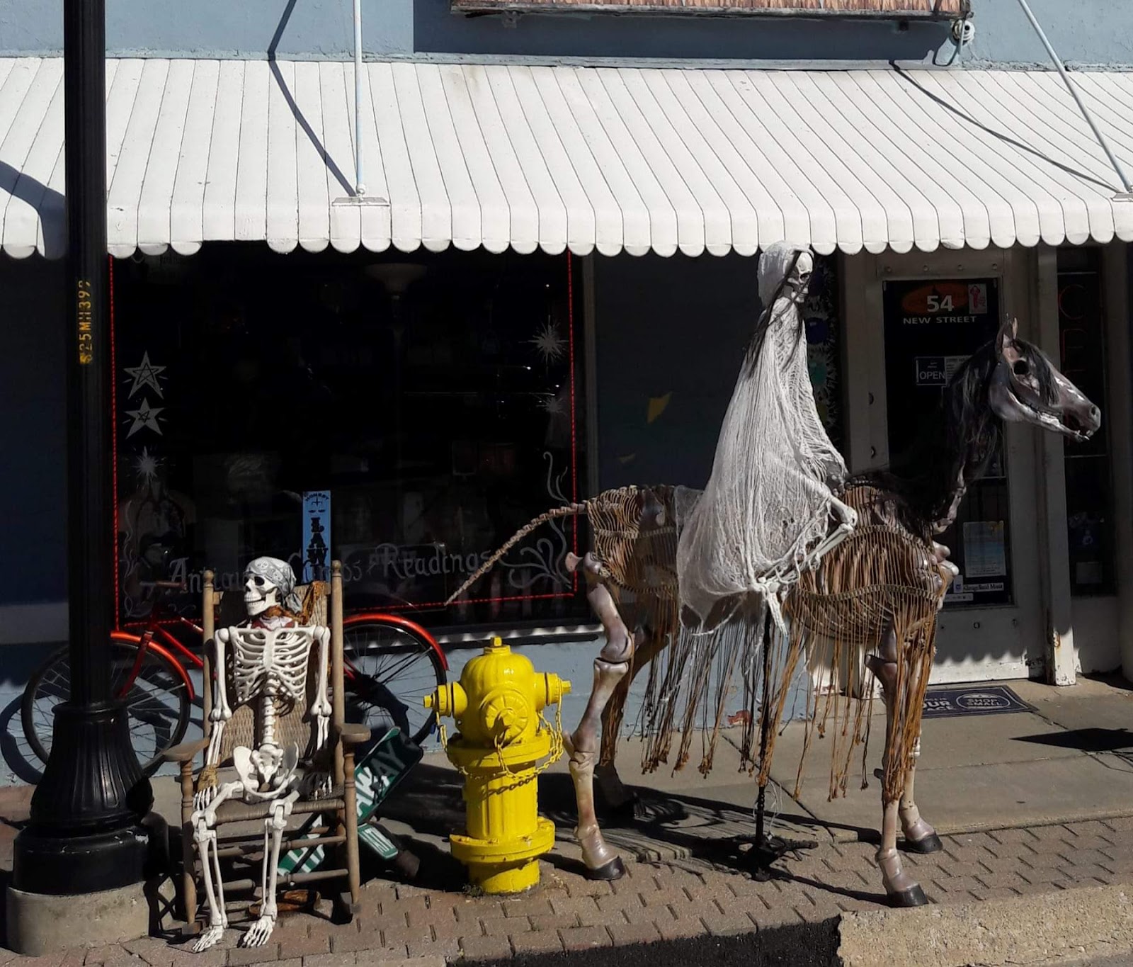 Laid To Rest Antiques & Oddities — photo