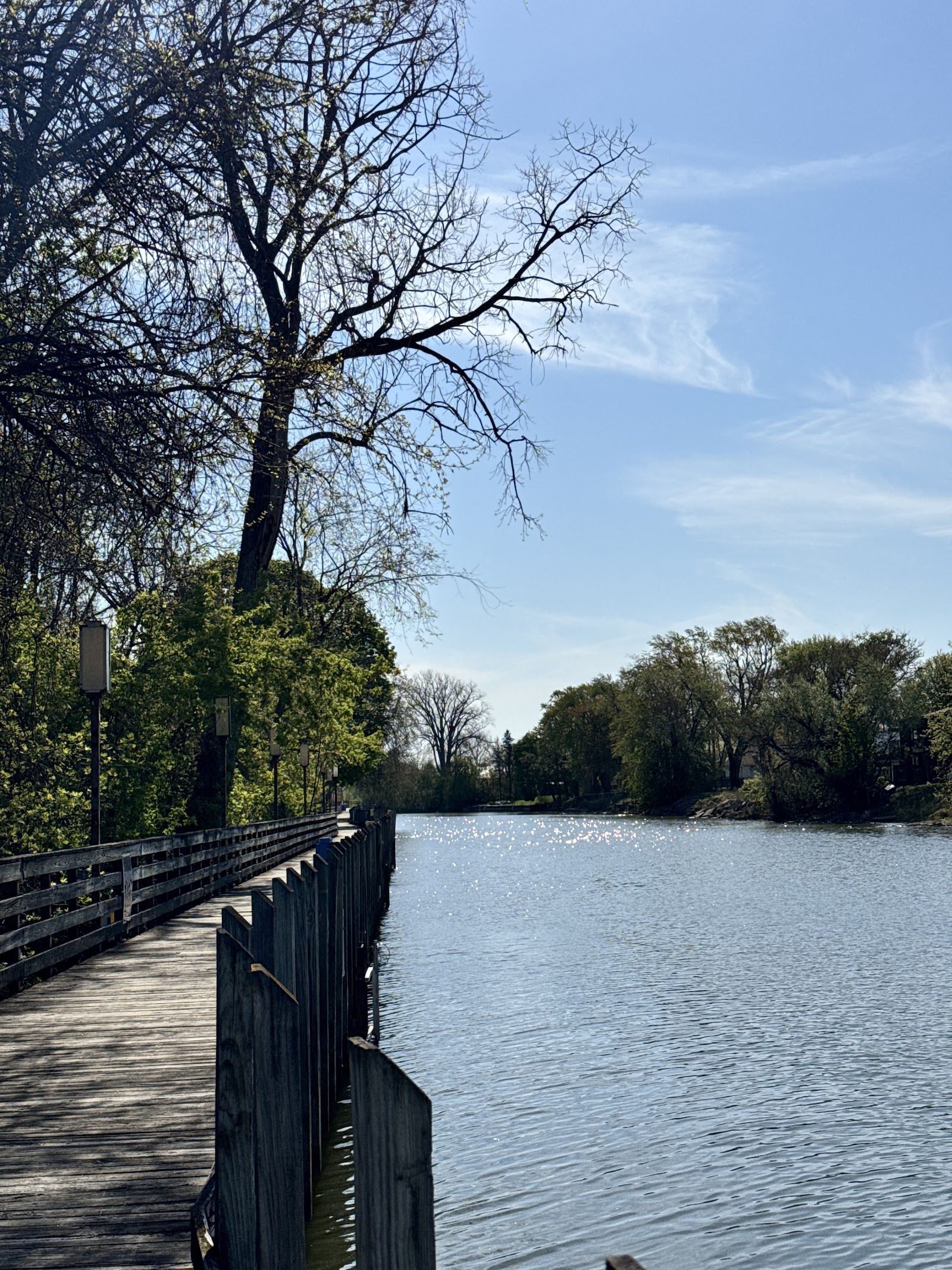 MacArthur Park — photo
