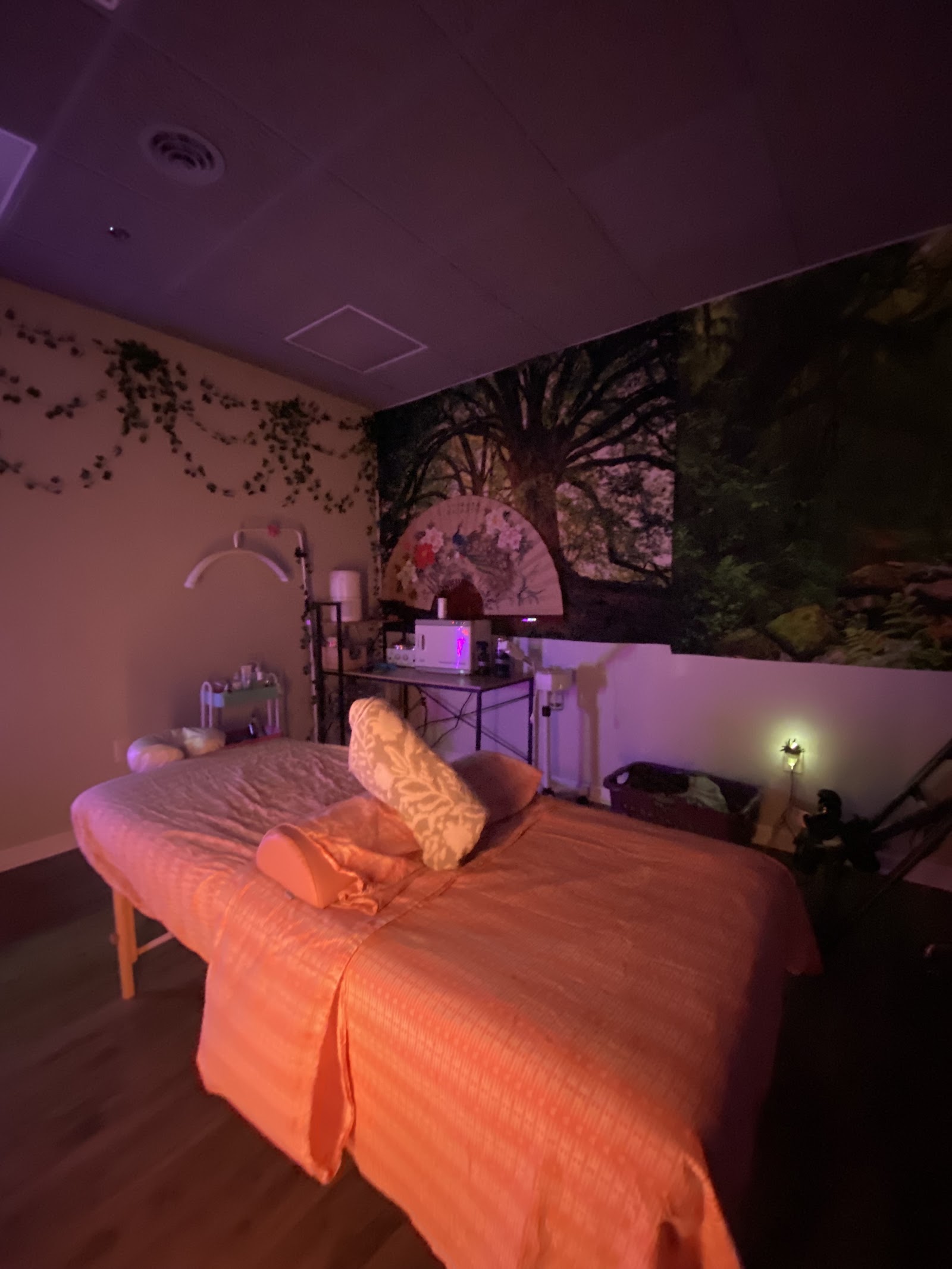 Sweet Pea Street Spa in Mt Clemens